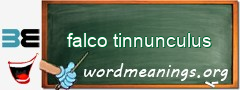 WordMeaning blackboard for falco tinnunculus